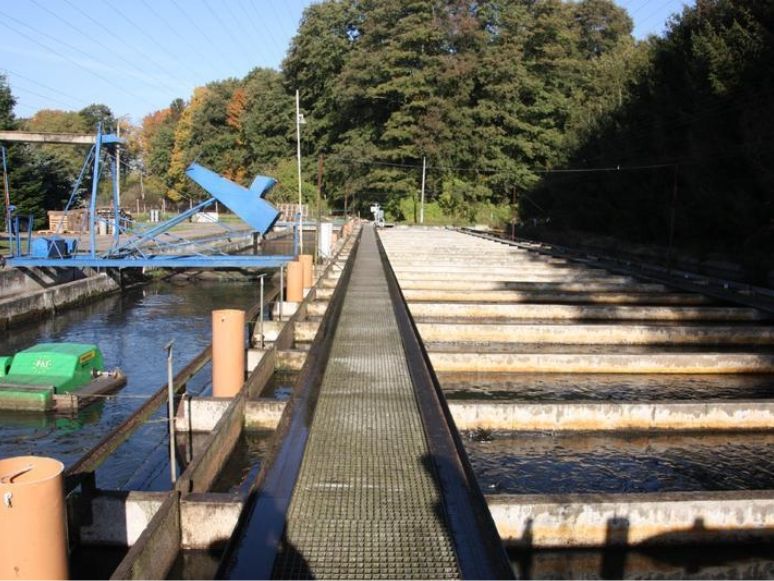 Forellenanlage Gottow Unterhammer